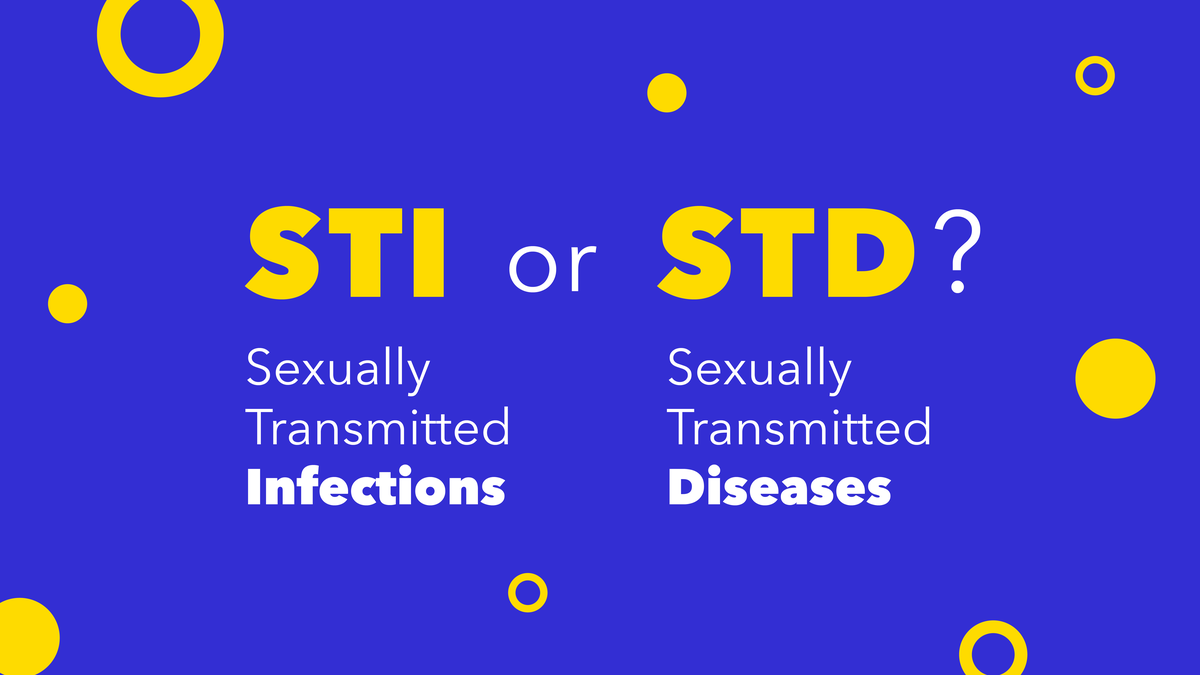220302 dcc c3 blog stixstd 01